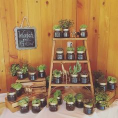 there are many potted plants on the shelf in front of the sign that says watch me grow