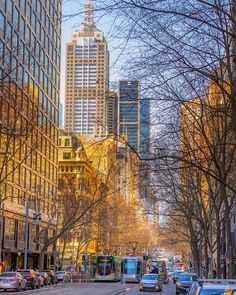 a city street filled with lots of traffic next to tall buildings and trees in the foreground