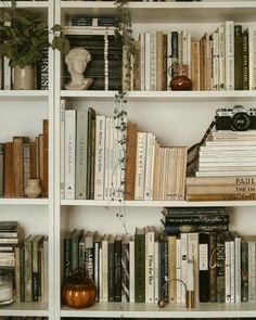 a bookshelf filled with lots of books next to a vase and potted plant