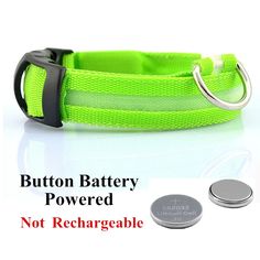 an image of a dog collar that is green and has buttons attached to the collar