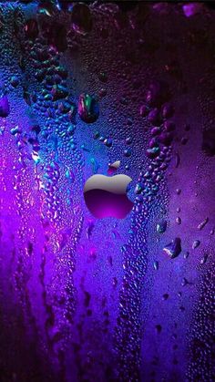 an apple logo is shown on the back of a purple and blue background with drops of water