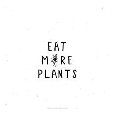 the words eat more plants written in black ink