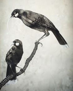 two birds perched on top of each other with chains around their necks and beaks