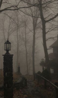 a lamp post in the middle of a forest on a foggy day