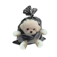 a small white dog wearing a silver bag with a bow on it's head