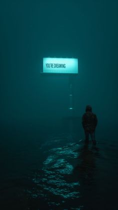 a person standing in the water with their back turned to the camera, looking at a sign that reads you're dreaming