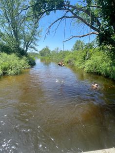 people are swimming in the water near some trees