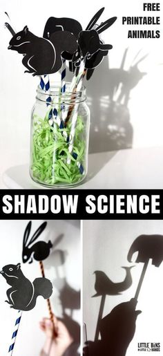 shadow science for kids to make