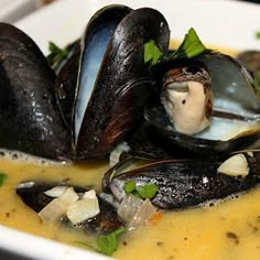 a white bowl filled with mussels covered in broth