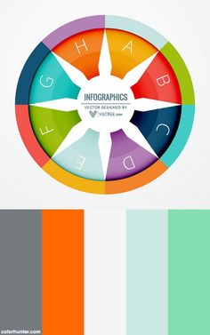 a colorful wheel with the words infographics written on it in white and black