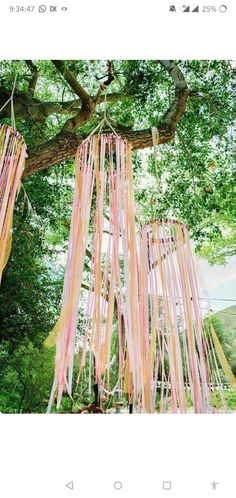 pink and yellow streamers hanging from a tree in the woods for an outdoor ceremony