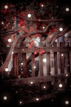 a wooden fence with some lights on it