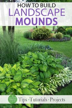 how to build landscape mounds tips and tricks for creating beautiful landscaping in your yard or garden