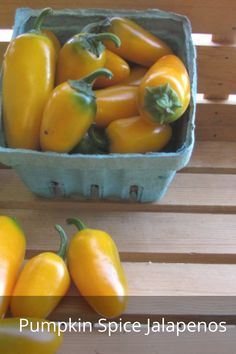 several yellow peppers in a blue container on a wooden table with text pumpkin spice jalapenos