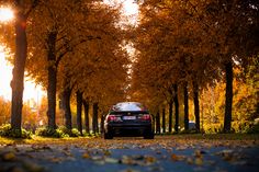 a car parked on the side of a road surrounded by trees with leaves all over it