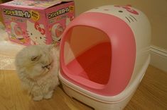 a cat sitting next to a hello kitty litter box