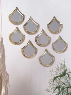 six mirrors hanging on the wall next to a potted plant