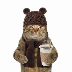 a cat wearing a knitted hat and scarf holding a cup of coffee in its paws