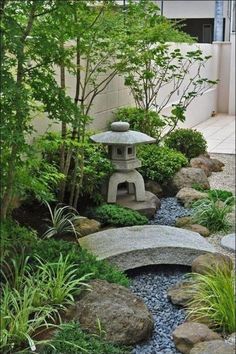 a small garden with rocks and plants