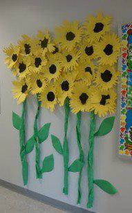 a bunch of sunflowers are hanging on the wall in front of a bulletin board