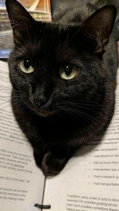 a black cat is sitting on top of an open book and looking at the camera