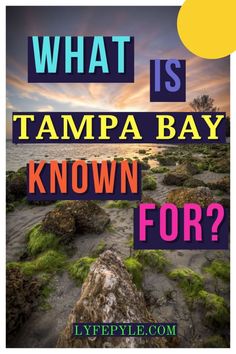 the words what is tampa bay known for? in front of an ocean with rocks and grass