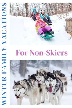 Want to plan an epic winter vacation this year without spending a fortune at a ski resort?

Skiing may be the most popular winter sport, but ski resorts are expensive and crowded, and skiing itself can be a little frightening if you’re new to the sport.

Here are some amazing winter vacation ideas in the USA and Cananda for families who don't ski.