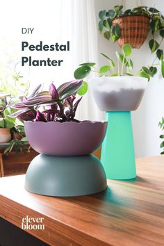 two planters sitting on top of a wooden table