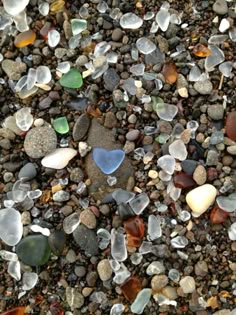 many different colored rocks and pebbles on the ground with one heart shaped rock in the middle