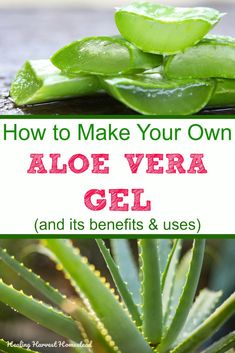 How to Make Your Own Aloe Vera Gel and 8 Ways to Use It (Plus, Facts About the Aloe Plant and Why You Need One) — All Posts Healing Harvest Homestead