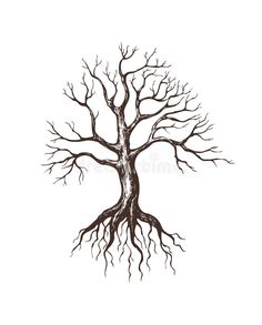 a drawing of a tree with no leaves