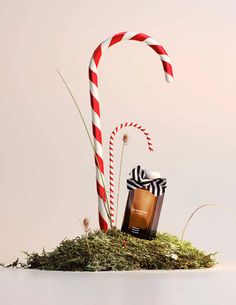 two candy canes sitting on top of a pile of grass