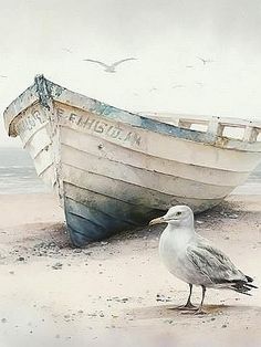 a seagull standing on the beach next to a boat that has been washed ashore