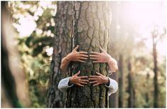 couple hands in nature tree love 12 Laws Of Karma, Twin Flame Love Quotes, Destructive Relationships, Funny Dancing Gif, Metaphysical Spirituality, Law Of Karma, Things About Boyfriends