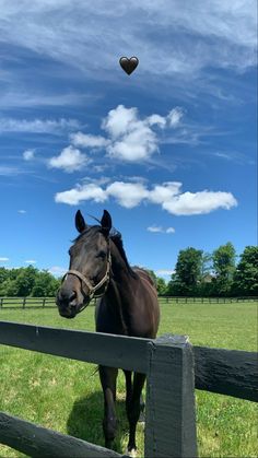 a brown horse standing on top of a lush green field next to a wooden fence