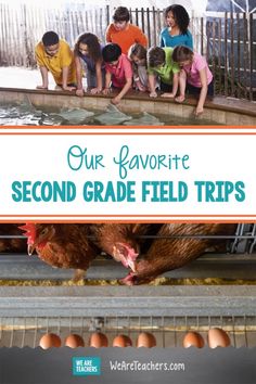 some kids and an adult looking at chickens in a cage with text overlay reading our favorite second grade field trips