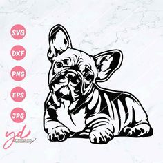 an image of a french bulldog vinyl decal on a white marble background with the words sv