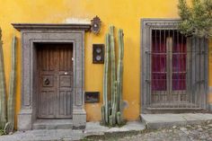 a yellow building with two wooden doors and three cactus plants