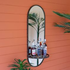 a mirror mounted to the side of a wall next to a potted palm tree