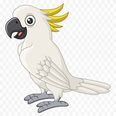 a white parrot with yellow feathers on it's head