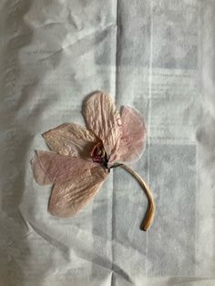 a flower that is laying on some paper