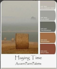 an image of hay bales in the field with color swatches and text that reads having time accent paint palette