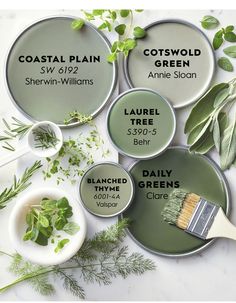 four paint colors with names on them and some herbs in bowls next to one that says coastal plain, sherylin - williams, annie sloan