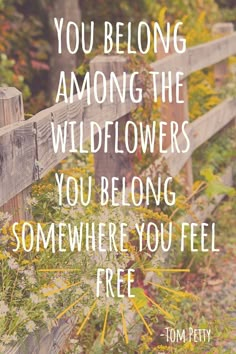 a wooden fence with the words you belong among the wildflowers you belong somewhere you feel free