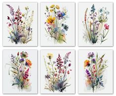 four watercolor paintings of flowers on white paper