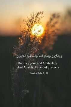 the sun setting behind a plant with an arabic quote