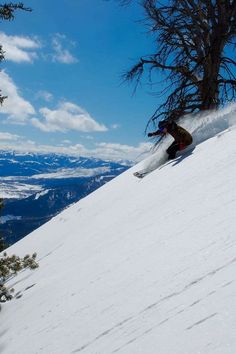 a man riding skis down the side of a snow covered slope next to trees