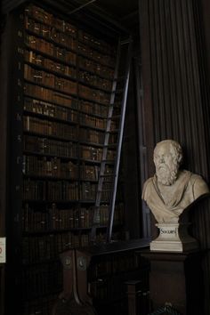 a busturine in front of a bookshelf full of books