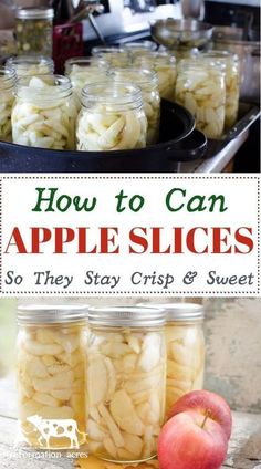 jars filled with apple slices sitting on top of a wooden table next to an apple