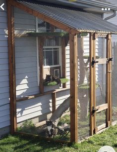 a cat sitting in the window of a chicken coop on top of a grass covered yard